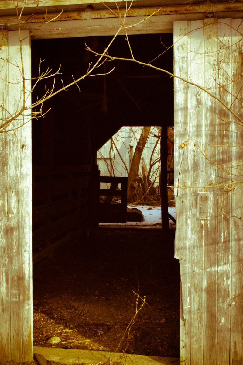 Illustration for article titled Recent Outing (Photo Heavy)